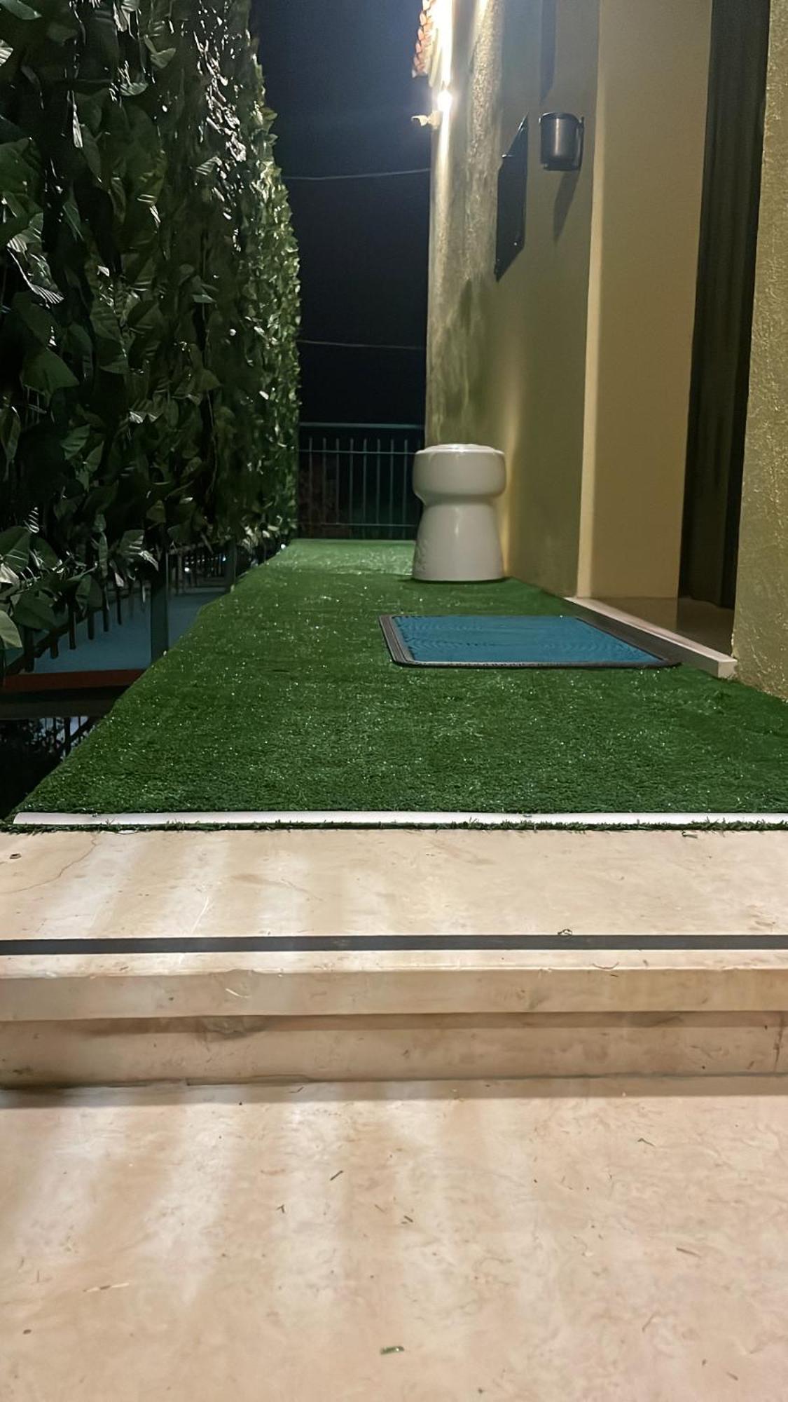 קטנזארו Chalet N5 Guest House מראה חיצוני תמונה